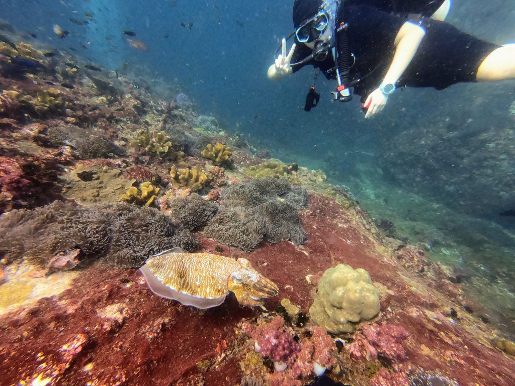 Yasmine scuba diving with cuttlefish